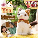 こんにちニャン！みけねこミミコのおしゃべりパートナーが癒しの三毛猫で話題